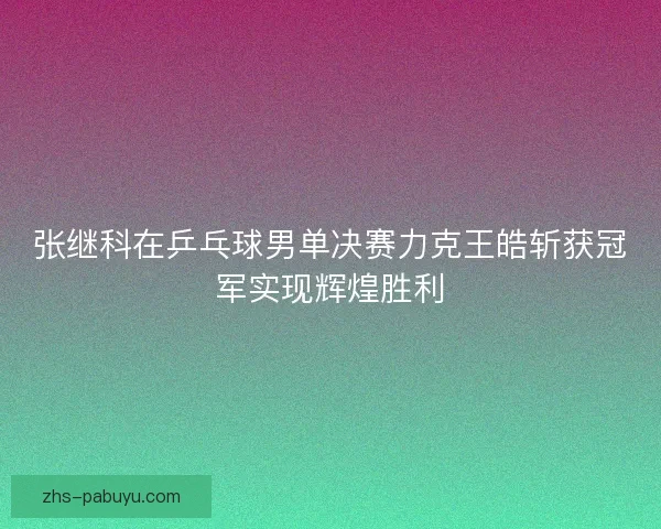 张继科在乒乓球男单决赛力克王皓斩获冠军实现辉煌胜利 张继科在乒乓球男单决赛力克王皓斩获冠军实现辉煌胜利