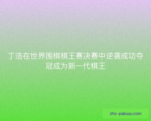 丁浩在世界围棋棋王赛决赛中逆袭成功夺冠成为新一代棋王 丁浩在世界围棋棋王赛决赛中逆袭成功夺冠成为新一代棋王