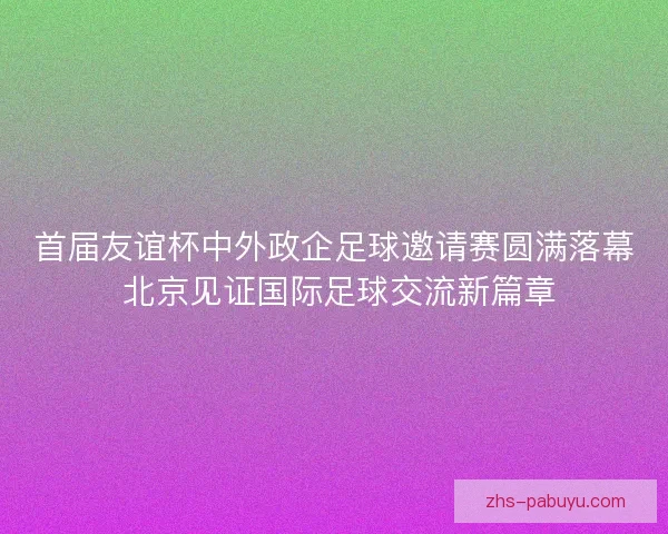 首届友谊杯中外政企足球邀请赛圆满落幕 北京见证国际足球交流新篇章